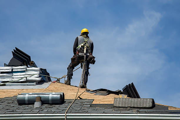 Professional Storm Damage Roof Repair technician working in Palmetto, FL